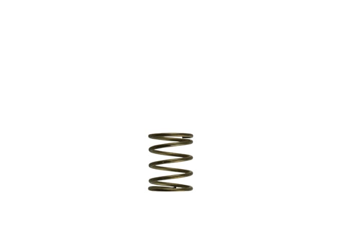 Turbosmart Turbosmart GenV WG45/50 3psi Orange Inner Spring GenV WG45/50 3psi Orange Inner Spring Autofit