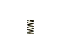 Turbosmart Turbosmart GenV WG60 3psi Inner Spring GenV WG60 3psi Inner Spring Autofit