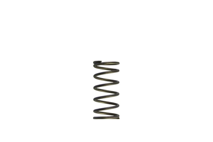 Turbosmart Turbosmart GenV WG60 5psi Purple Inner Spring GenV WG60 5psi Purple Inner Spring Autofit