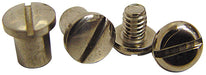 VINTIQUE Suit 1928-32 Ford Closed Car & 1928-34 Pickup (Pair) Vintique Inc Polished S/S Pivot Bolt & Nut Set VIA-45475-SS Autofit