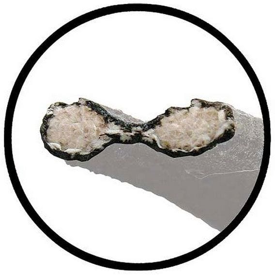 VINTIQUE Suit 1933-34 Passenger Car, Cloth Lace With Rivets Vintique Inc Grill To Bonnet Lace Kit VI40-16739-S Autofit